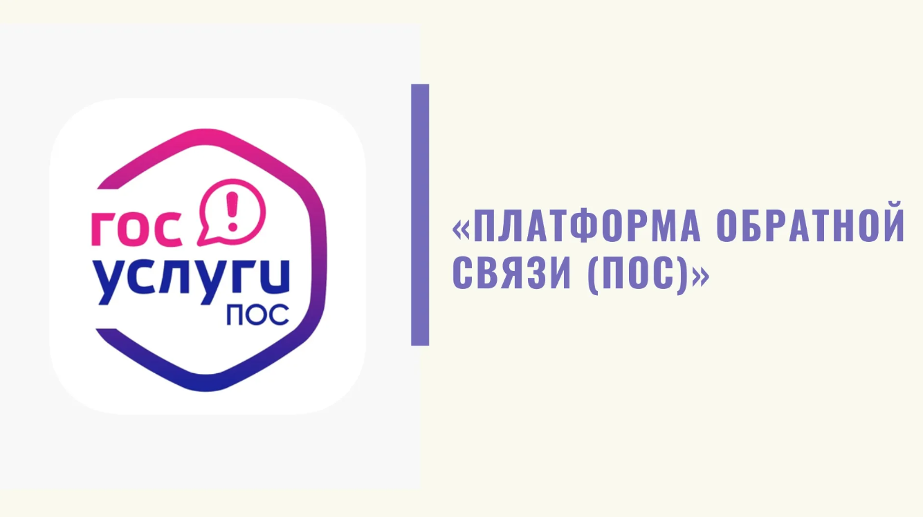 Опрос по теме «Отношение к образованию».